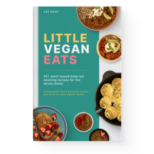 Little Vegan Eats ebook