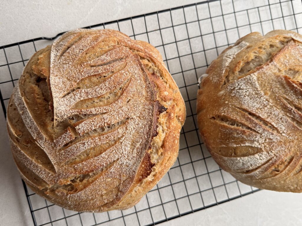 Easy How-To Sourdough Starter Recipe
