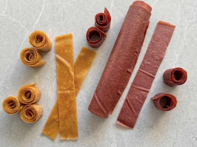 Homemade Fruit Roll-Ups