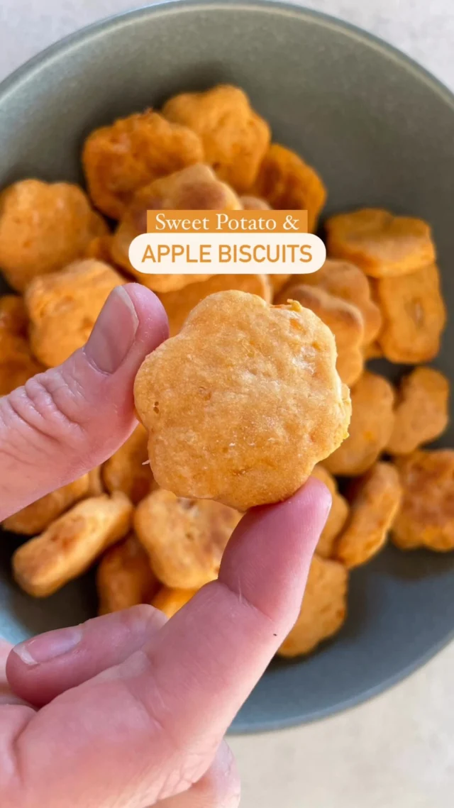 🍠🍎3 INGREDIENT SWEET POTATO & APPLE BISCUITS🍎🍠

Makes 45 biscuits 🍪 BLW 🌱Suitable 6+ months*

This is one of our most popular biscuit recipes, great for little ones just starting out with new flavours and textures, or as a simple base you can build on with extra flavours for older babies and toddlers. 

If you want the recipe for these comment “BISCUIT” below and I’ll send it to you, or head straight to my website (linked in bio) x
.
.
.
.
.
.
#blw #healthyrecipe #veganrecipes  #toddlersnacks #weaning